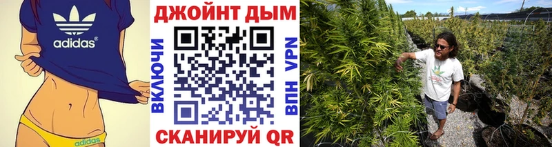 где продают наркотики  МЕГА вход  Каннабис AK-47  Шахты 
